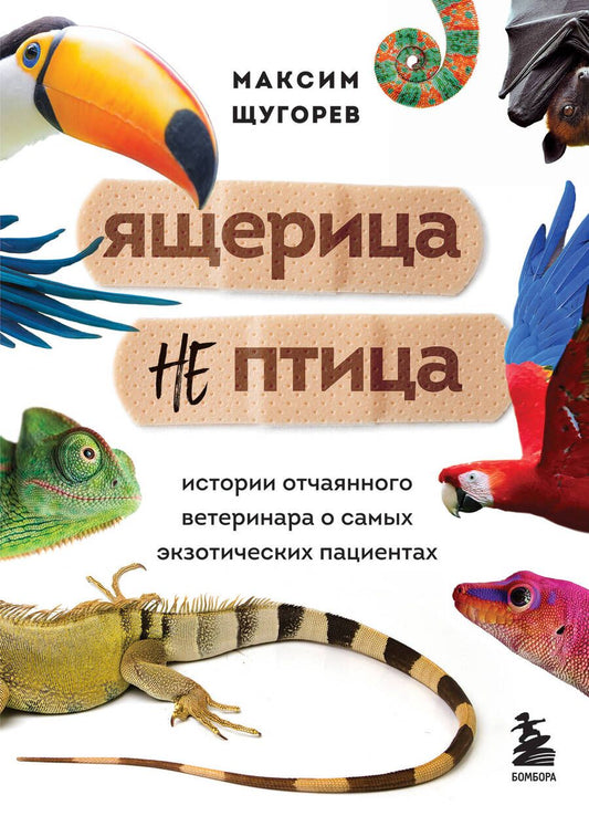 Обложка книги "Щугорев: Ящерица не птица. Истории отчаянного ветеринара о самых экзотических пациентах"