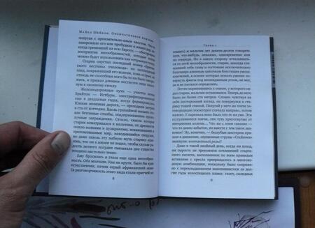 Фотография книги "Шейбон: Окончательное решение, или Разгадка под занавес. История расследования"