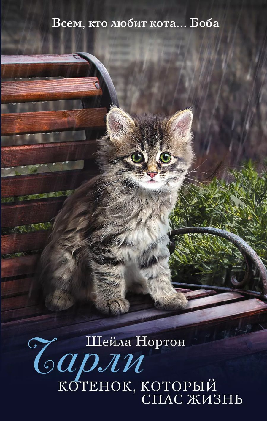 Обложка книги "Шейла Нортон: Чарли. Котенок, который спас жизнь: роман"