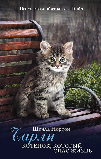 Обложка книги "Шейла Нортон: Чарли. Котенок, который спас жизнь: роман"