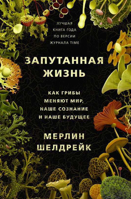 Обложка книги "Шелдрейк: Запутанная жизнь. Как грибы меняют мир, сознание и будущее "