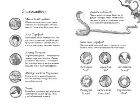 Фотография книги "Шельхаммер: Школа талантов. Урок второй: конец света"