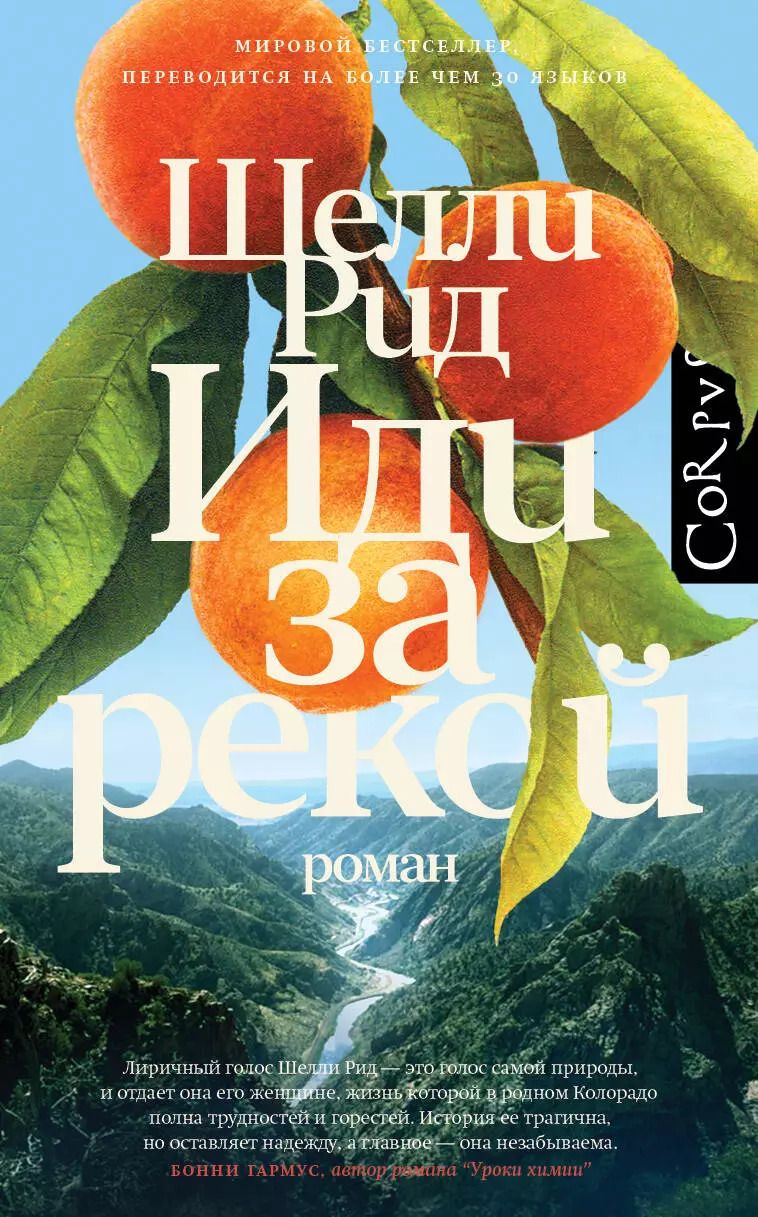 Обложка книги "Шелли Рид: Иди за рекой"