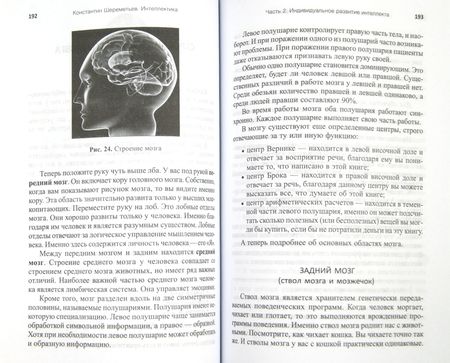 Фотография книги "Шереметьев: Интеллектика. Как работает ваш мозг"