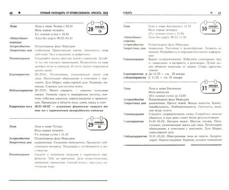 Фотография книги "Шевченко: Лунный календарь от профессионала. Красота. На 2023 год"