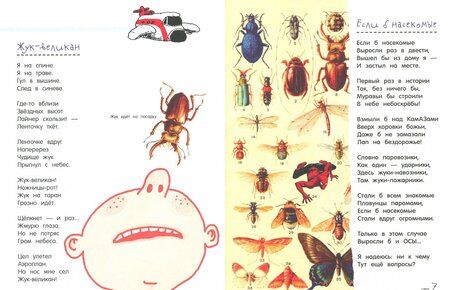 Фотография книги "Шевчук: Педаль от огурца"