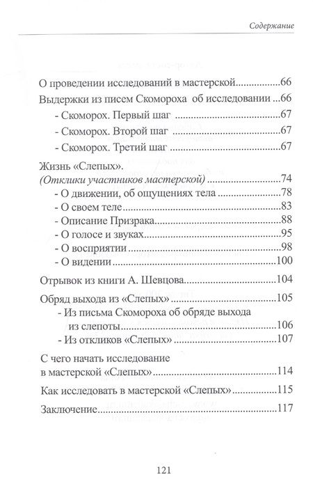 Фотография книги "Шевцов, Гладких: Слепые. Материалы мастерской"