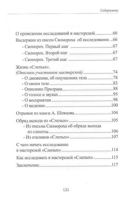 Фотография книги "Шевцов, Гладких: Слепые. Материалы мастерской"