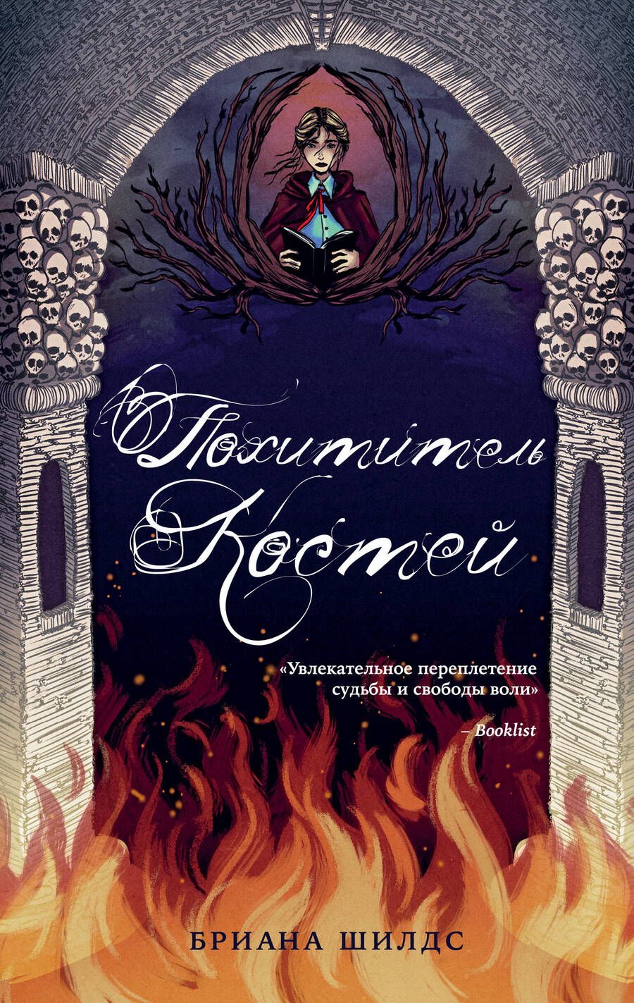 Обложка книги "Шилдс: Похититель костей"