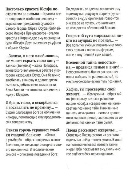 Фотография книги "Ширази Хафиз: Отшельник винной чаши (перевод и комментарий Д. Щедровицкого)"