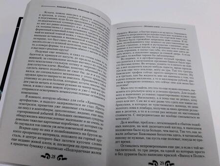 Фотография книги "Широков, Шапочкин: Обломки клана"