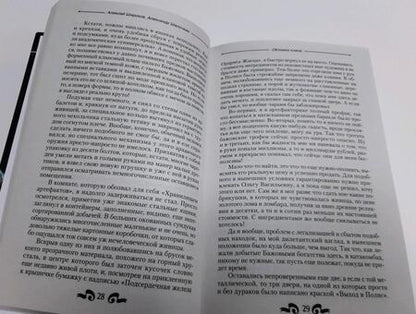 Фотография книги "Широков, Шапочкин: Обломки клана"