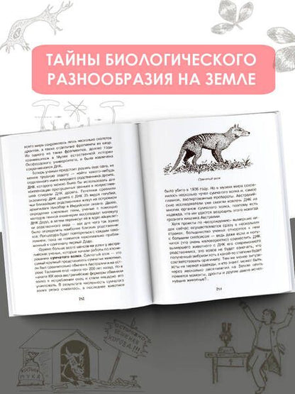 Фотография книги "Шитиков: Загадки генетики"