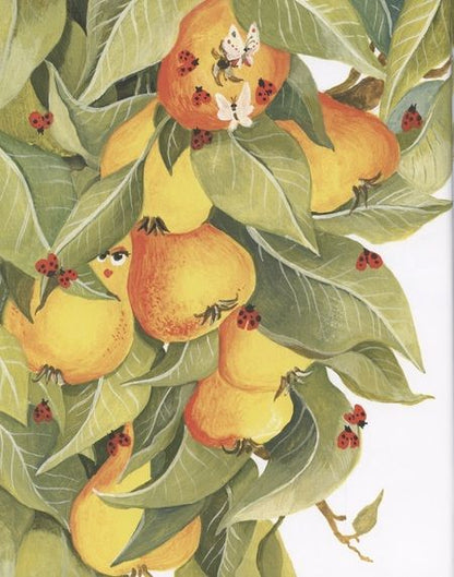 Фотография книги "Шицкая: Фруктовая радость"