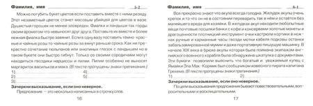 Фотография книги "Шклярова: Русский язык. Найди ошибку! 6 класс. Сборник самостоятельных работ. ФГОС"