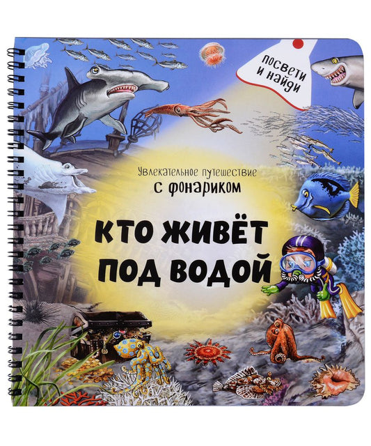 Обложка книги "Школьник, Иванова: Кто живёт под водой?"