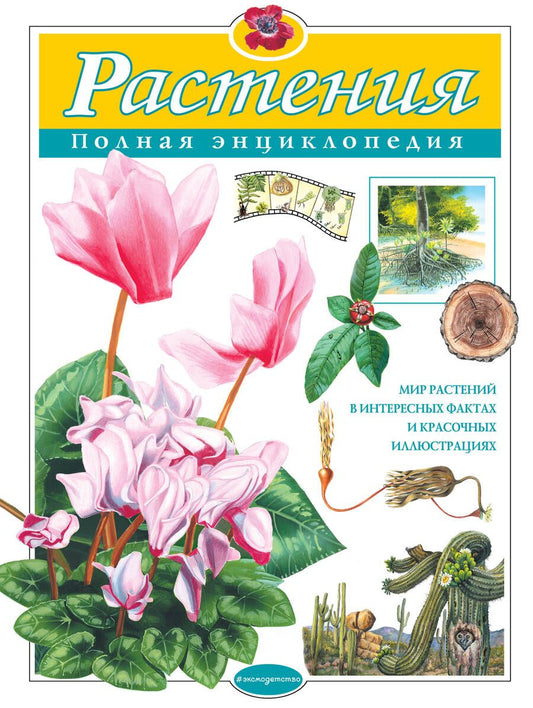 Обложка книги "Школьник: Растения. Полная энциклопедия"