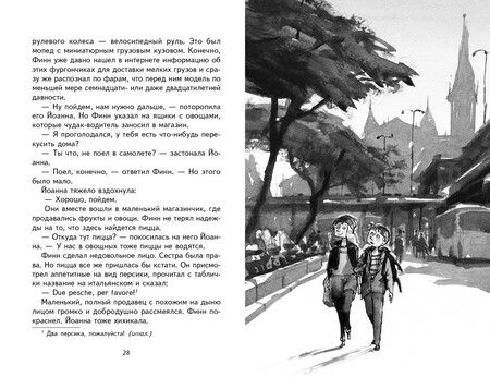 Фотография книги "Шлютер: Похищение во Флоренции"