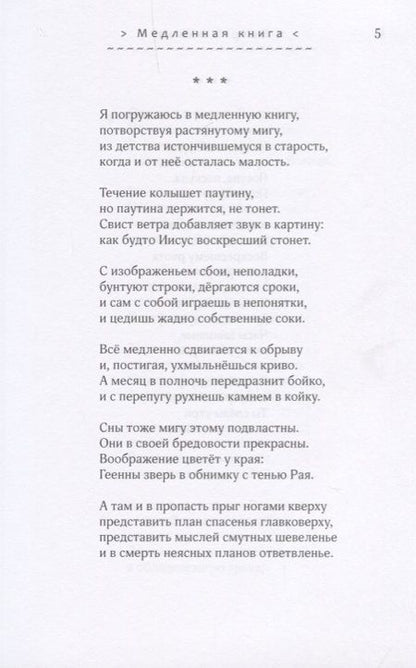 Фотография книги "Шмаков: Озёра. Стихотворения 2016-2017 гг."
