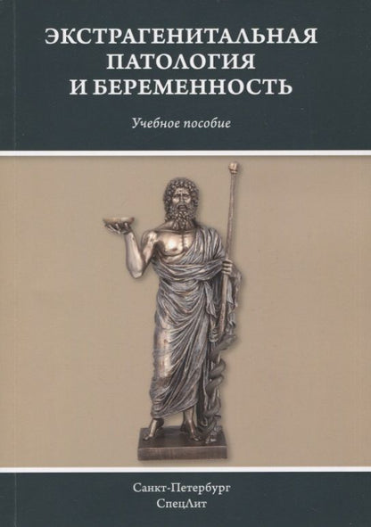 Обложка книги "Шмидт, Гайворонских, Шперлинг: Экстрагенитальная патология и беременность. Учебное пособие"