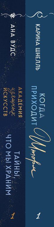 Фотография книги "Шнелль, Вудс: Комплект из 2-х книг (Тайны, что мы храним + Когда приходит шторм)"