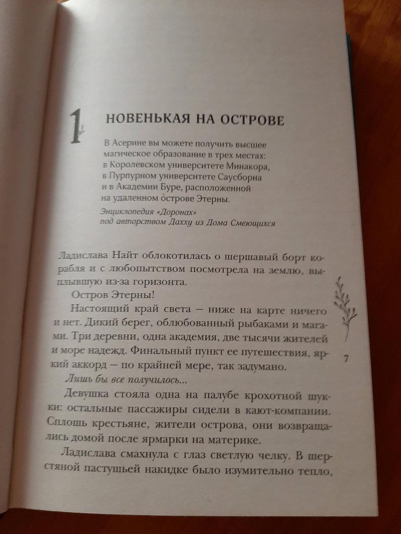 Фотография книги "Шолох. Академия Буря"