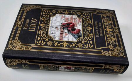 Фотография книги "Шоу: Богач, бедняк. Нищий, вор"