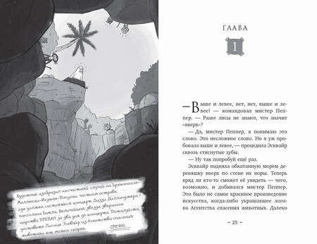 Фотография книги "Шрифер: Миссия. Суперпропажа"