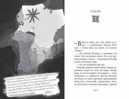 Фотография книги "Шрифер: Миссия. Суперпропажа"