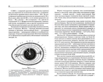 Фотография книги "Штеле, Османян, Афанасьев: Яичное птицеводство. Учебное пособие для вузов"