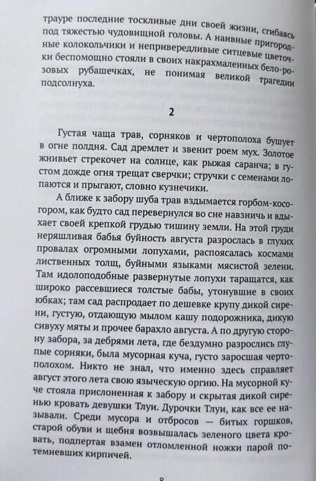 Фотография книги "Шульц: Лавки колониальных товаров"