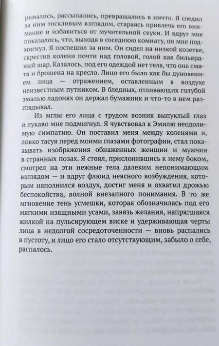 Фотография книги "Шульц: Лавки колониальных товаров"