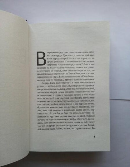 Фотография книги "Швеблин: Кентуки"