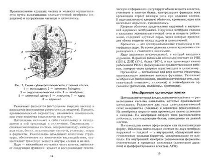 Фотография книги "Швырев: Анатомия и физиология человека с основами общей патологии"