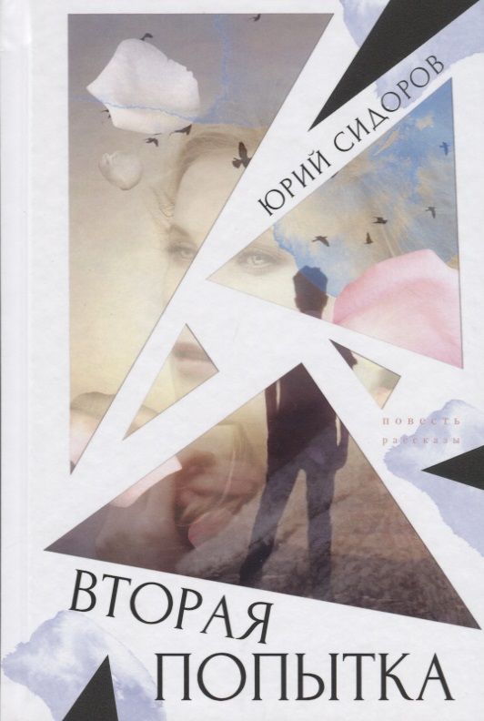 Обложка книги "Сидоров: Вторая попытка"