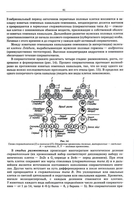 Фотография книги "Сидорова, Панов, Семак: Морфология сельскохозяйственных животных. Анатомия и гистология с основами цитологии и эмбриологии"