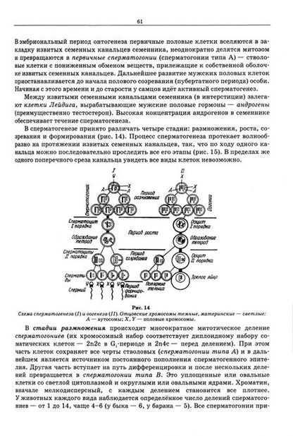 Фотография книги "Сидорова, Панов, Семак: Морфология сельскохозяйственных животных. Анатомия и гистология с основами цитологии и эмбриологии"