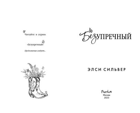 Фотография книги "Сильвер: Безупречный"