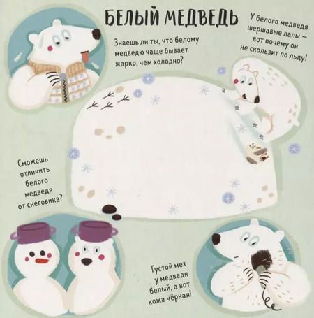 Фотография книги "Сильвие Санца: Весёлые прятки"