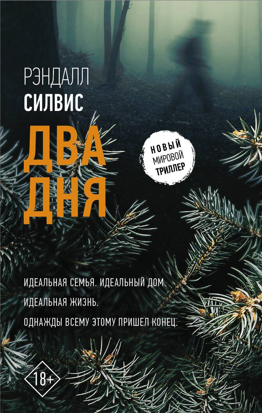 Обложка книги "Силвис: Два дня"