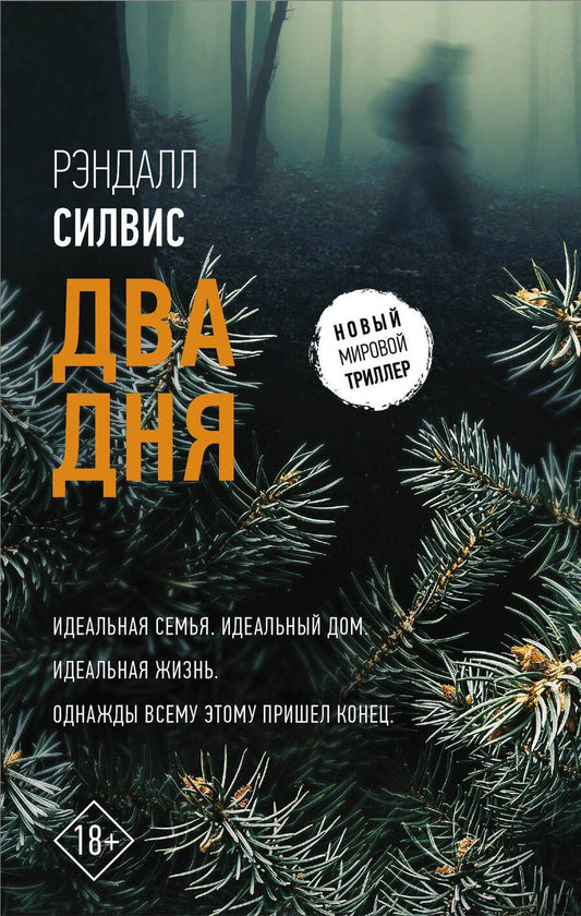 Обложка книги "Силвис: Два дня"
