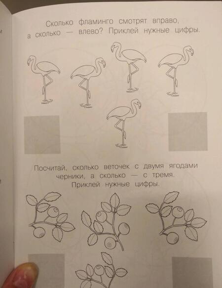 Фотография книги "Сильвия Бурдек: Цифры и числа 123"