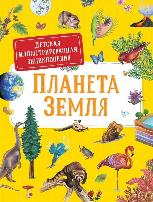 Обложка книги "Сильвия Дерэм: Планета Земля. Детская иллюстрированая энциклопедия"