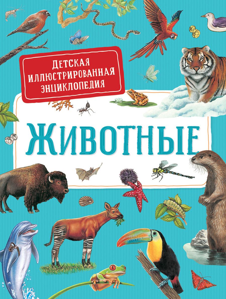 Обложка книги "Сильвия Дерэм: Животные. Детская иллюстрированная энциклопедия"