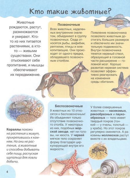 Фотография книги "Сильвия Дерэм: Животные. Детская иллюстрированная энциклопедия"