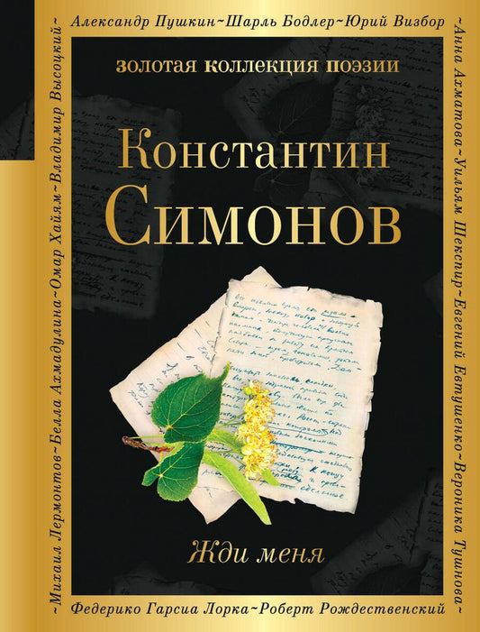 Обложка книги "Симонов: Жди меня"