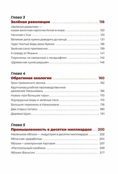 Фотография книги "Син Сяоцзюнь: Государственная стратегия"