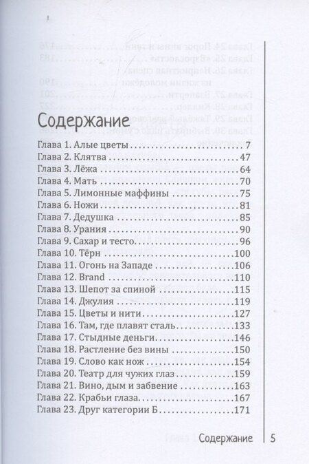Фотография книги "Синекдоха: Гроб Энди и Лейли"