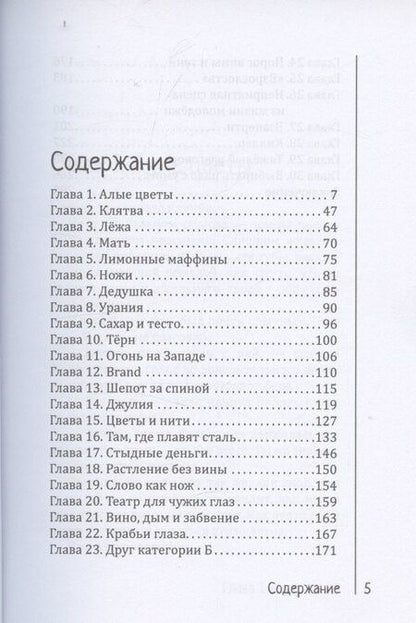 Фотография книги "Синекдоха: Гроб Энди и Лейли"