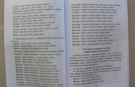 Фотография книги "Ситникова: Словарь-справочник по русскому языку. Для подготовки к ЕГЭ. Ударения. Паронимы. ФГОС"